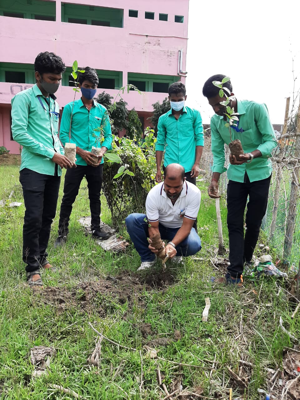 AP648686_Plantation.jpeg